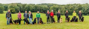 Read more about the article 29.07. – 05.08.23 – Hundewoche auf dem Edberghof